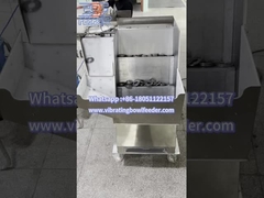 Circular Metal Parts Conveyed by Step Feeder
